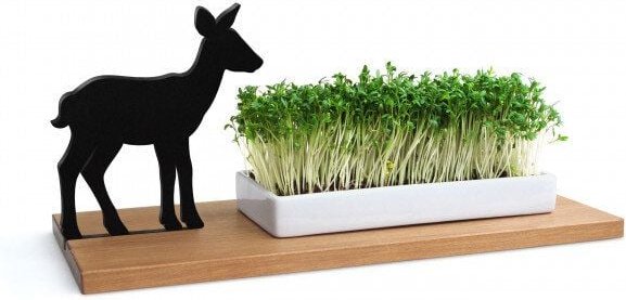 Side by Side KRESSESCHALE - Smart´n´Green - Reh