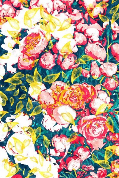 Photocircle Poster / Leinwandbild - Nature Smiles in Flowers