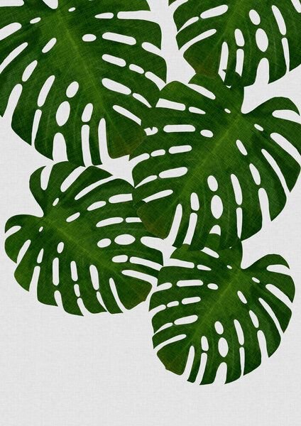 Photocircle Wandbild / Kunstdruck / Poster / Leinwand - Monstera Leaf I