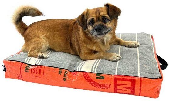 GOOPSI Hundebett mit BIO-Baumwollfüllung, Hundekissen - versch. Farben