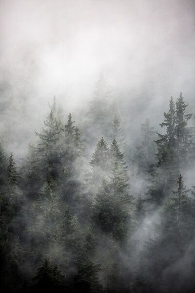 Photocircle Poster / Leinwandbild - Foggy Morning 1