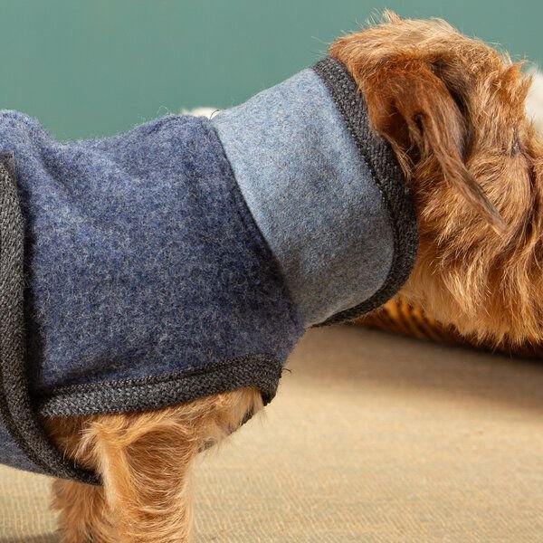 nahtur-design Hundemantel für Dackel | handgefertigt | 100% Schurwolle