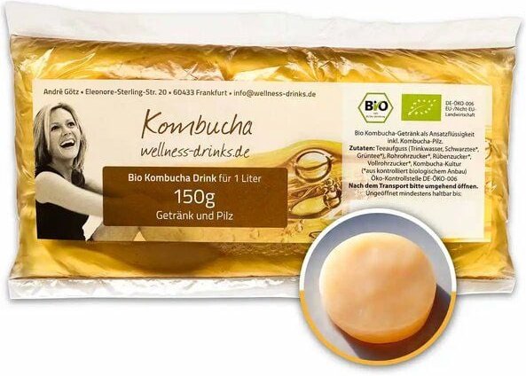 Wellness-Drinks Bio Kombucha Drink mit Teepilz (klein)
