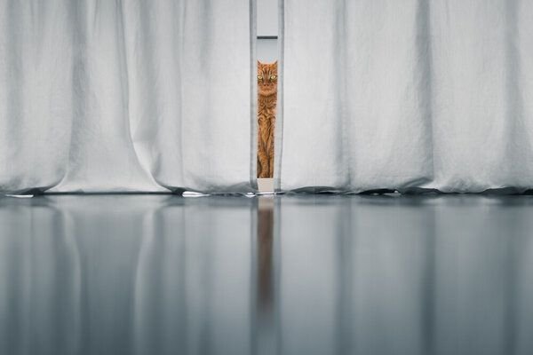 Photocircle Poster / Leinwandbild - Eyes on You