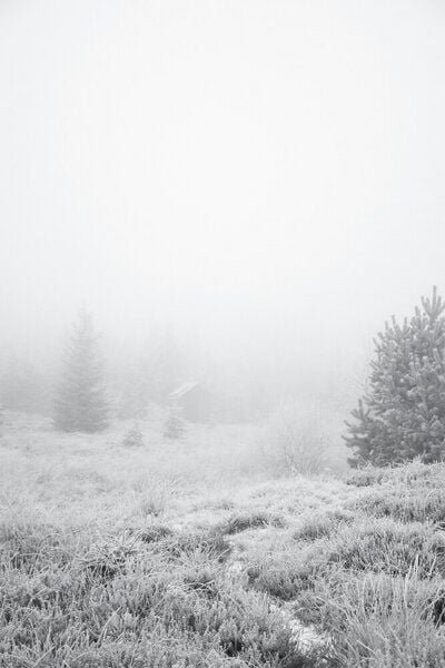 Photocircle Poster / Leinwandbild - The house in the forest
