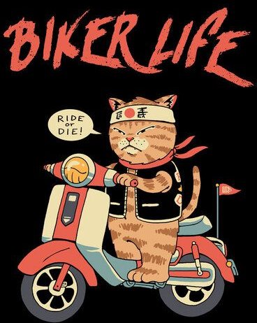 Photocircle Poster / Wandbild / Leinwand / Deko - Motor Cat