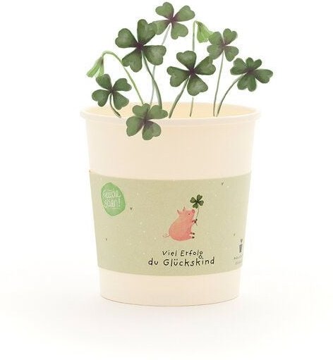 Die Stadtgärtner Glücksklee Anzuchtset als Glücksgeschenk | Nachhaltige Geschenkidee für Prüfungen, Neuanfänge & Geburts...