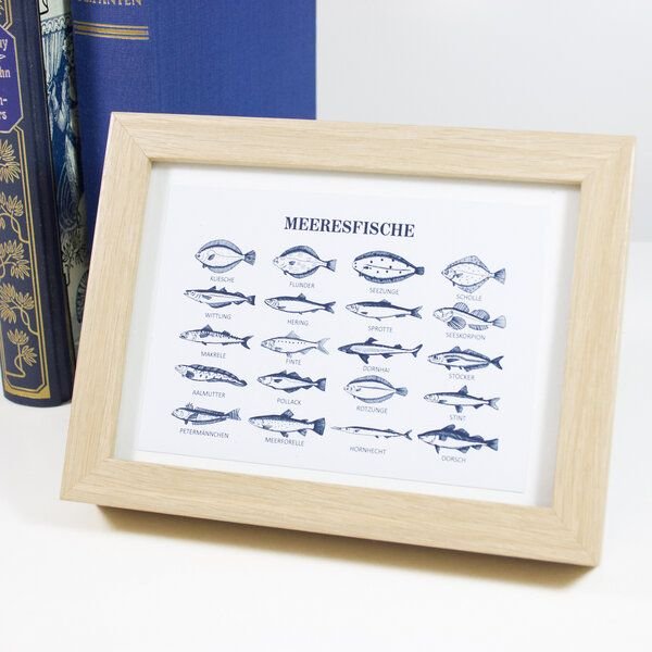 Bow & Hummingbird Postkarte Meeresfische