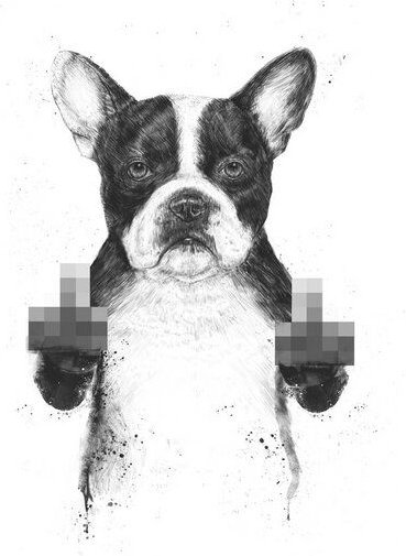Photocircle Poster / Leinwandbild - Censored dog