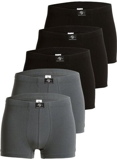 Haasis Bodywear Herren Pants, ohne Eingriff, 5er Pack, Bio Baumwolle/ Elasthan