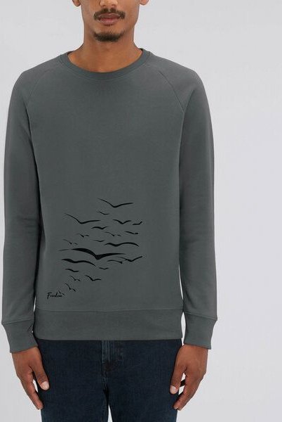 Human Family Bio Herren Sweatshirt "Practice - Free Birds" in 5 Farben