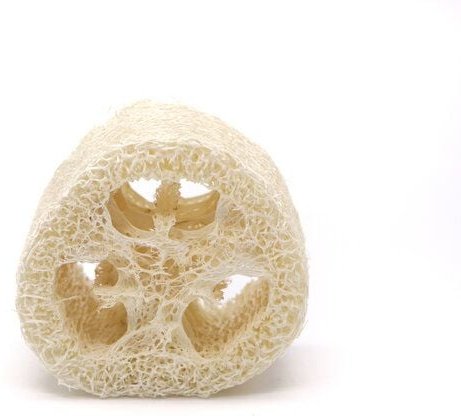 das ökolädchen Luffa-Scheibe / Seifenablage – 2 cm