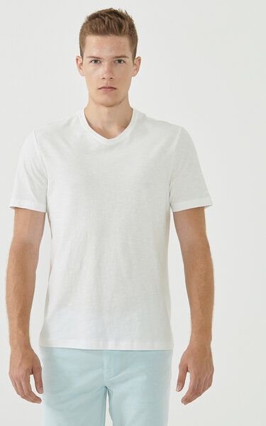 ORGANICATION Basic T-Shirt aus Bio-Baumwolle mit V-Ausschnitt