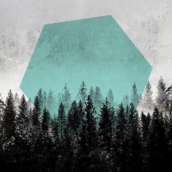 Photocircle Poster / Leinwandbild - Woods 3