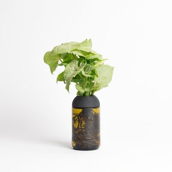 CitySens Transparenter Pflanztopf