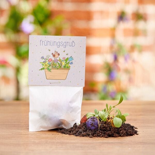 Die Stadtgärtner 10x5 Blumenmurmeln im Tütchen "Frühlingsgruß" I Ostergeschenk für Kinder I Kleinigkeit zu Ostern I Gesc...