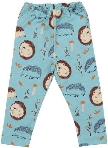 Kinder Leggings – Hellblau mit Igelmotiv, elastischer Bund, weich & bequem, alltagstauglich, gut kombinierbar | Walkiddy