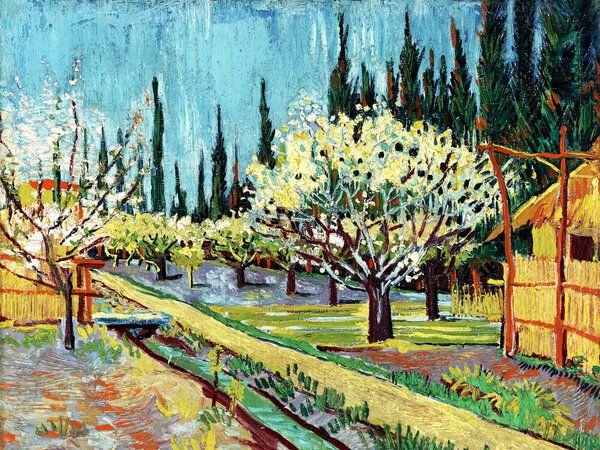 Photocircle Poster / Leinwandbild - Vincent Van Gogh: Obstgarten umgeben von Zypressen