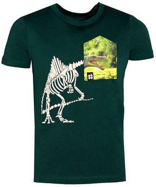FÄDD Kinder T-Shirt Rundhals aus Bio-Baumwolle "Spino BT" Grün