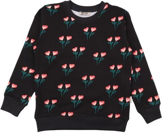 Cotokids Kinder Sweatshirt GOTS zertifiziert, Streifen, Walkiddy