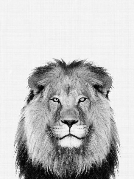 Photocircle Poster / Leinwandbild - Lion (Black and White)