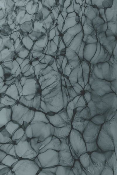 Photocircle Poster / Leinwandbild - Abstract Life