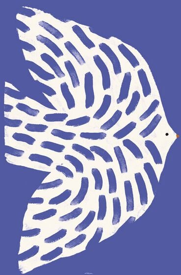 Photocircle Wandbild / Poster / Leinwand - Printed wall art with white bird in flight