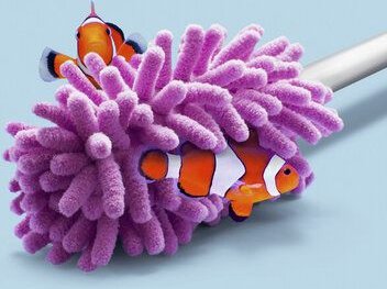 Photocircle Wandbild / Kunstdruck / Poster / Leinwand - Anemonen-Wischer