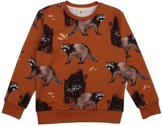 Kinder Sweatshirt GOTS zertifiziert, 95% Bio-Baumwolle, braun, Waschbär-Muster, weich & bequem – Walkiddy