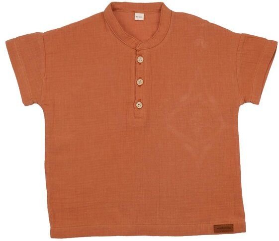 Baby T-Shirt GOTS zertifiziert Bio-Baumwolle, Braun, Walkiddy