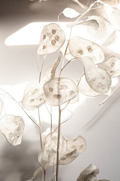 Photocircle Poster / Leinwandbild - Last Summer 29