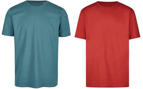 Brandless Basic Bio T-Shirt (Men Nr.3 ) Doublepack GOTS