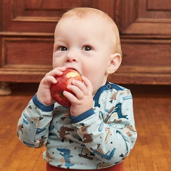 Cheeky Apple Bio Langarm-Body "Crocs on Wheels"