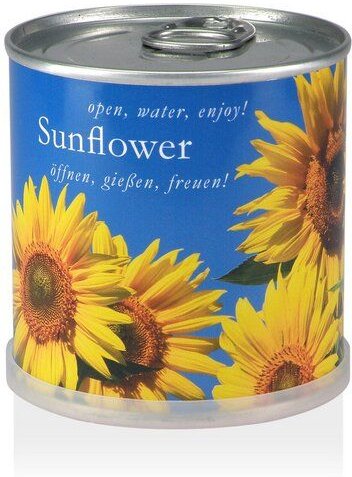 MacFlowers Pflanzen in der Dose - Sonnenblume