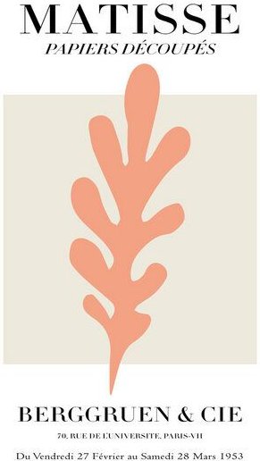 Photocircle Poster / Leinwandbild - Matisse - Papiers Découpés, rosa botanisches Design