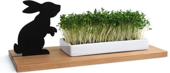 Side by Side KRESSESCHALE - smart´n´green - Hase