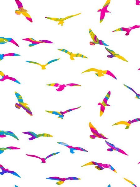 Photocircle Poster / Leinwandbild - Wild & Free