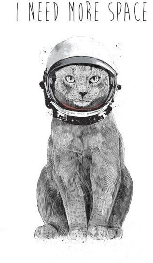 Photocircle Poster / Leinwandbild - I need more space