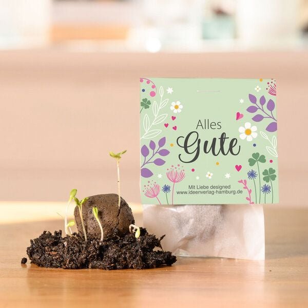 Ideenverlag Hamburg 10 „Alles Gute“ Samenbomben im Tütchen mit Wildblumensaatgut | Nachhaltiges Geschenk & blühende Aufm...