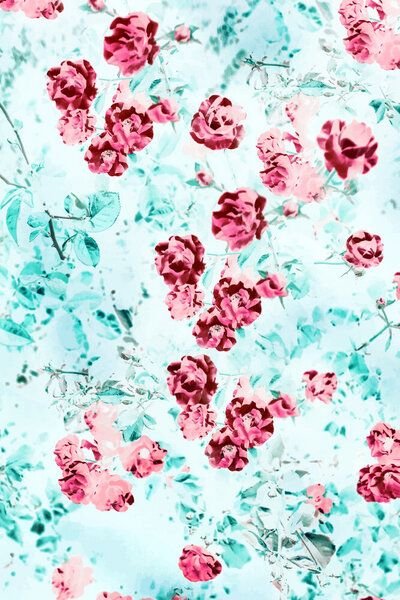 Photocircle Poster / Leinwandbild - Nothing Happens Unless First A Dream