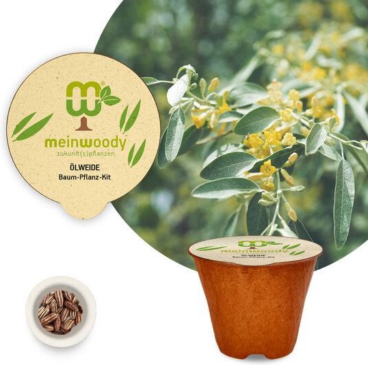 meinwoody Baum-Pflanz-Kit