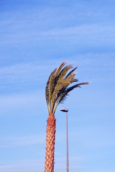 Photocircle Poster / Leinwandbild - Carrot and Friend