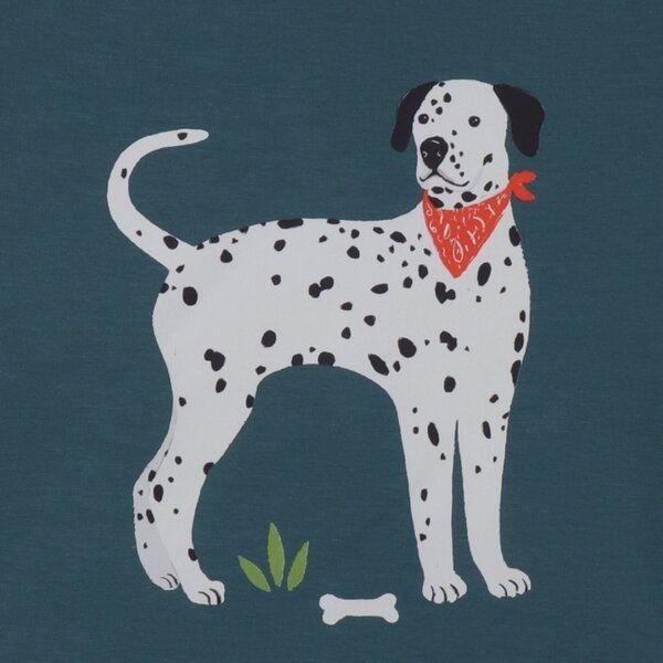 Walkiddy Green-Sweatshirt