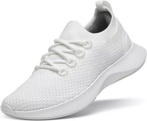 Allbirds Tencel Sneaker Modell: Dasher NZ M