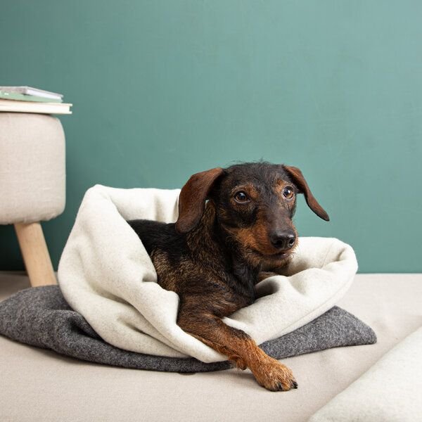 nahtur-design Kuschelsack für Hunde | 100% Schurwolle | Wechselbares Inlay