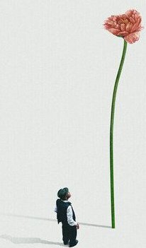 Photocircle Wandbild / Kunstdruck / Poster / Leinwand - A quiet friend