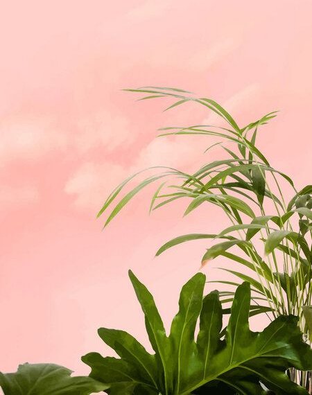 Photocircle Poster / Leinwandbild - Minimal Botanical