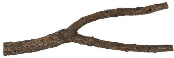 Kork-Deko Korkast mit Gabelung 50 cm | Naturkork-Rinde aus Portugal | Terrarien-Deko