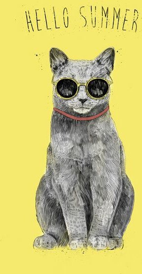 Photocircle Poster / Leinwandbild - Hello Summer