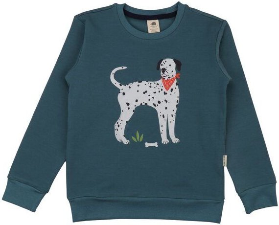 Kinder Sweatshirt Bio-Baumwolle grün Walkiddy Green, GOTS-zertifiziert, weich und robust, vegan, fair produziert, perfek...